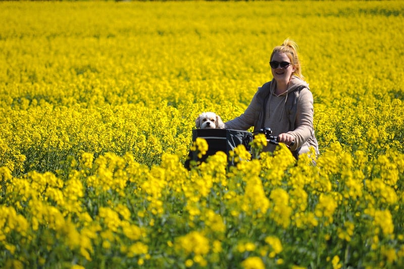 Historical Walking Tours